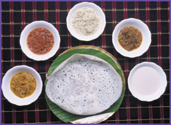 Panpolo (Neer Dosai)